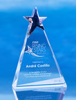 Crystal Star Peak Award Trophy Eclipse Awards   