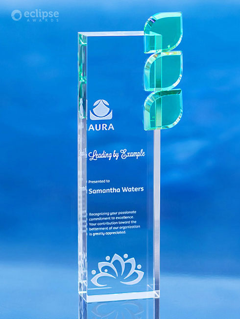 modern-personalized-sandblasted-glass-non-profit-nature-themed-trophy-vancouver-regeneration-award-2